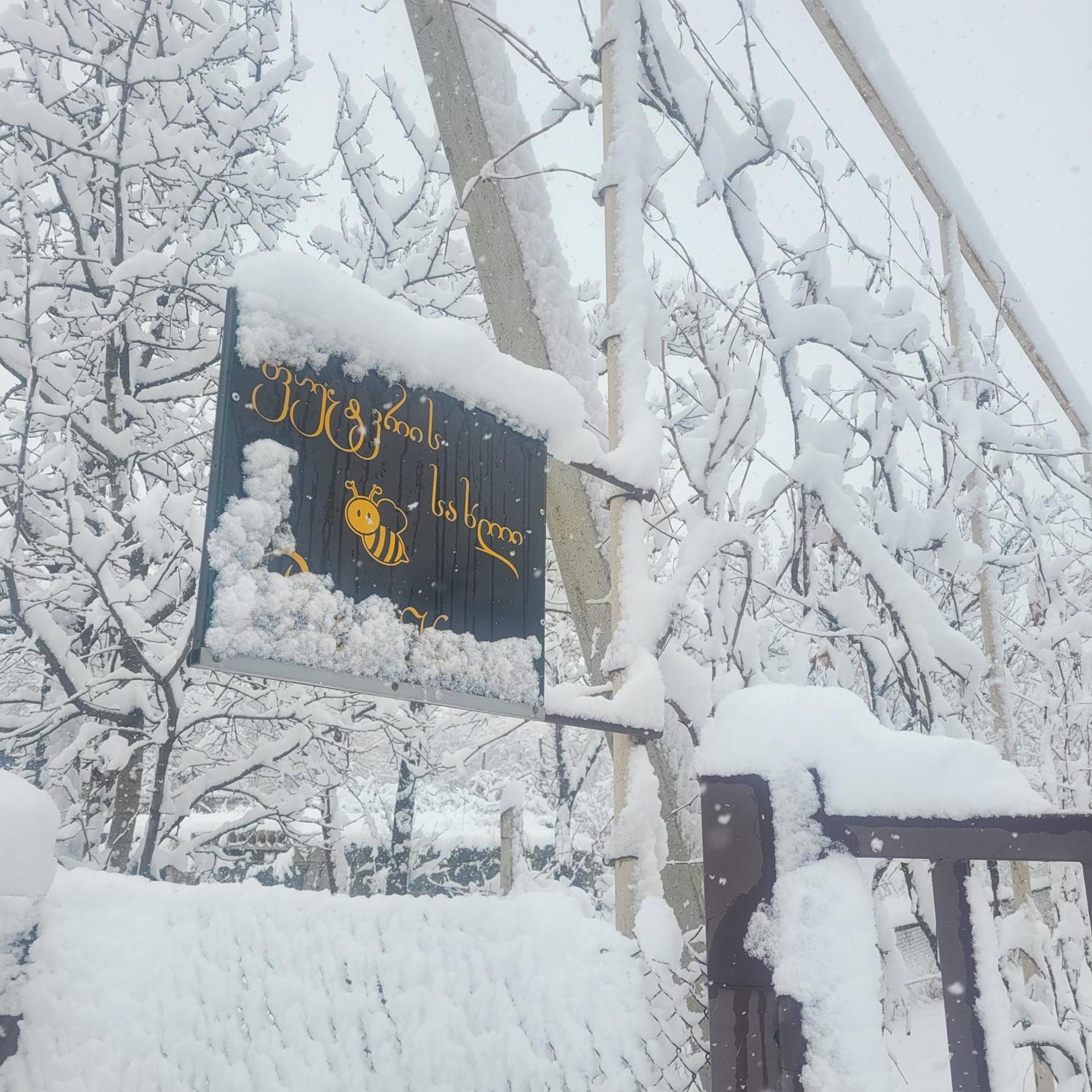 Bee House Гостевой дом *
