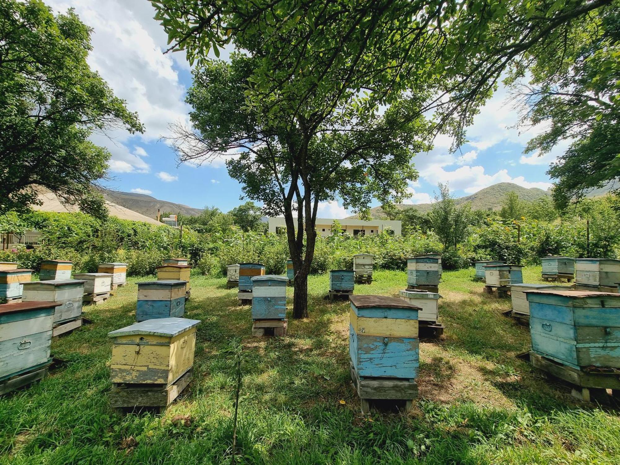 Bee House Pia