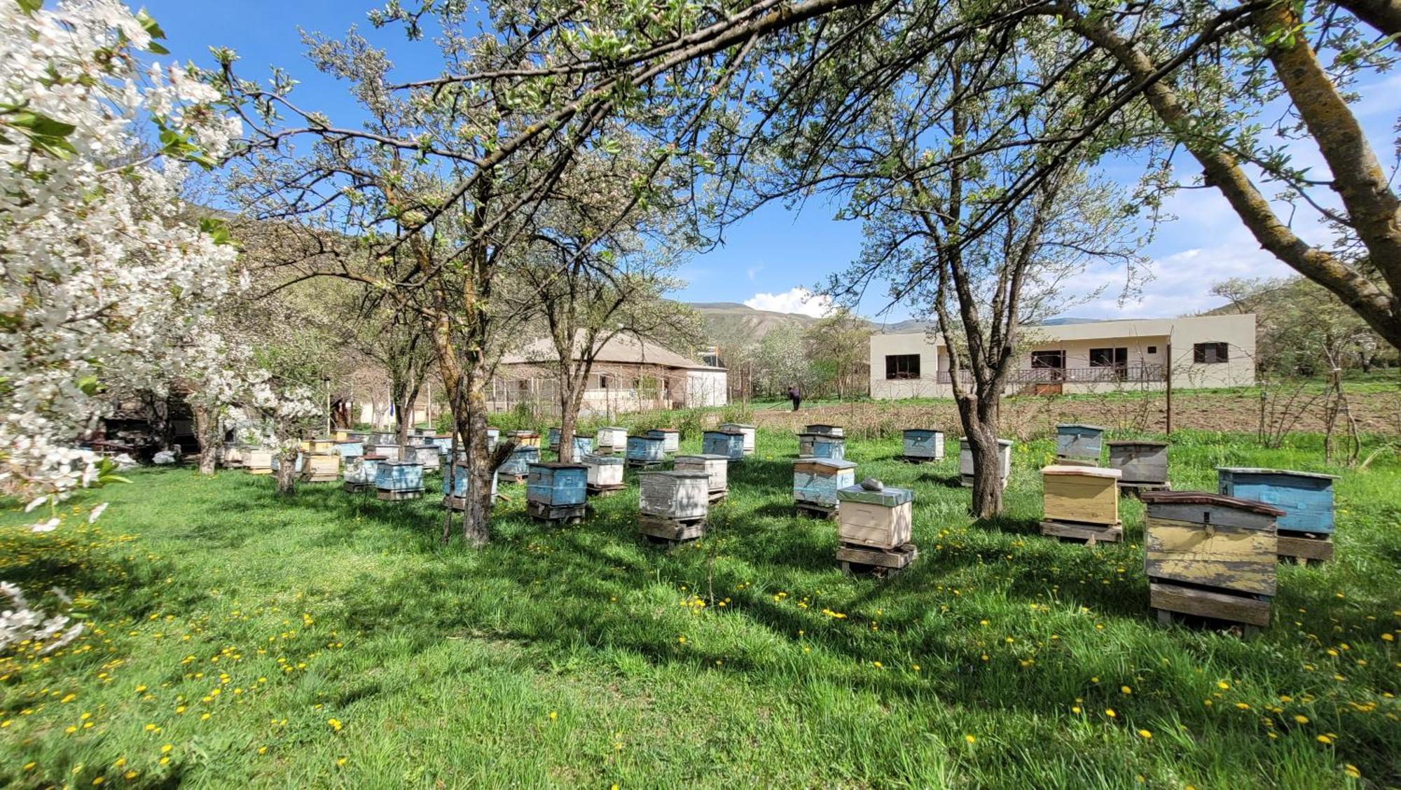 Bee House Guest house